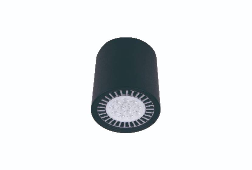 FPM6003-PAR38 Fixtures LED Moudule Series